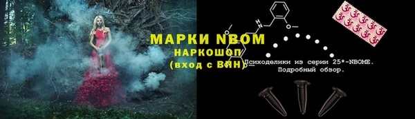 таблы Новозыбков