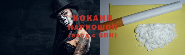 СК Новодвинск