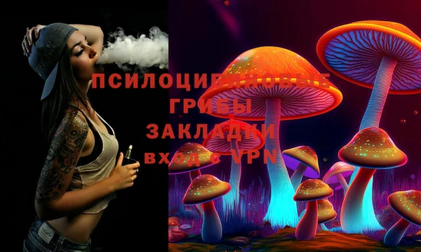 таблы Новозыбков