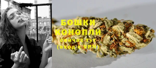 таблы Новозыбков