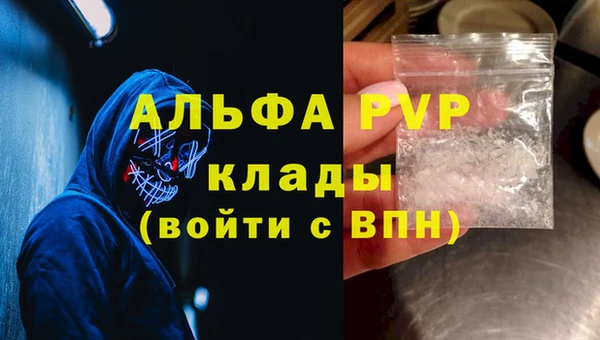 СК Новодвинск