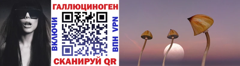 Купить где Югорск Псилоцибиновые грибы Psilocybe